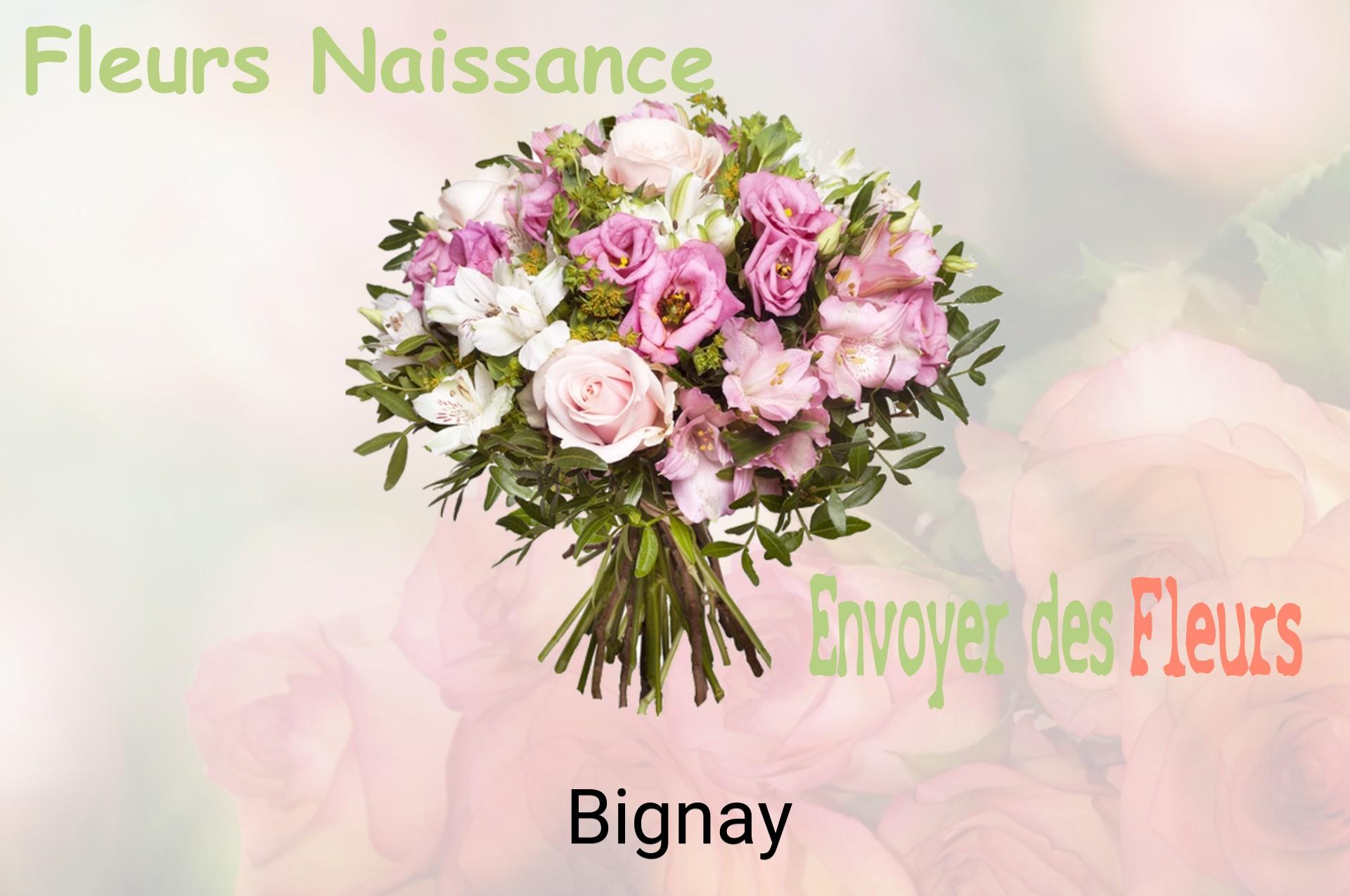 Bouquet de fleurs de naissance livré à Bignay