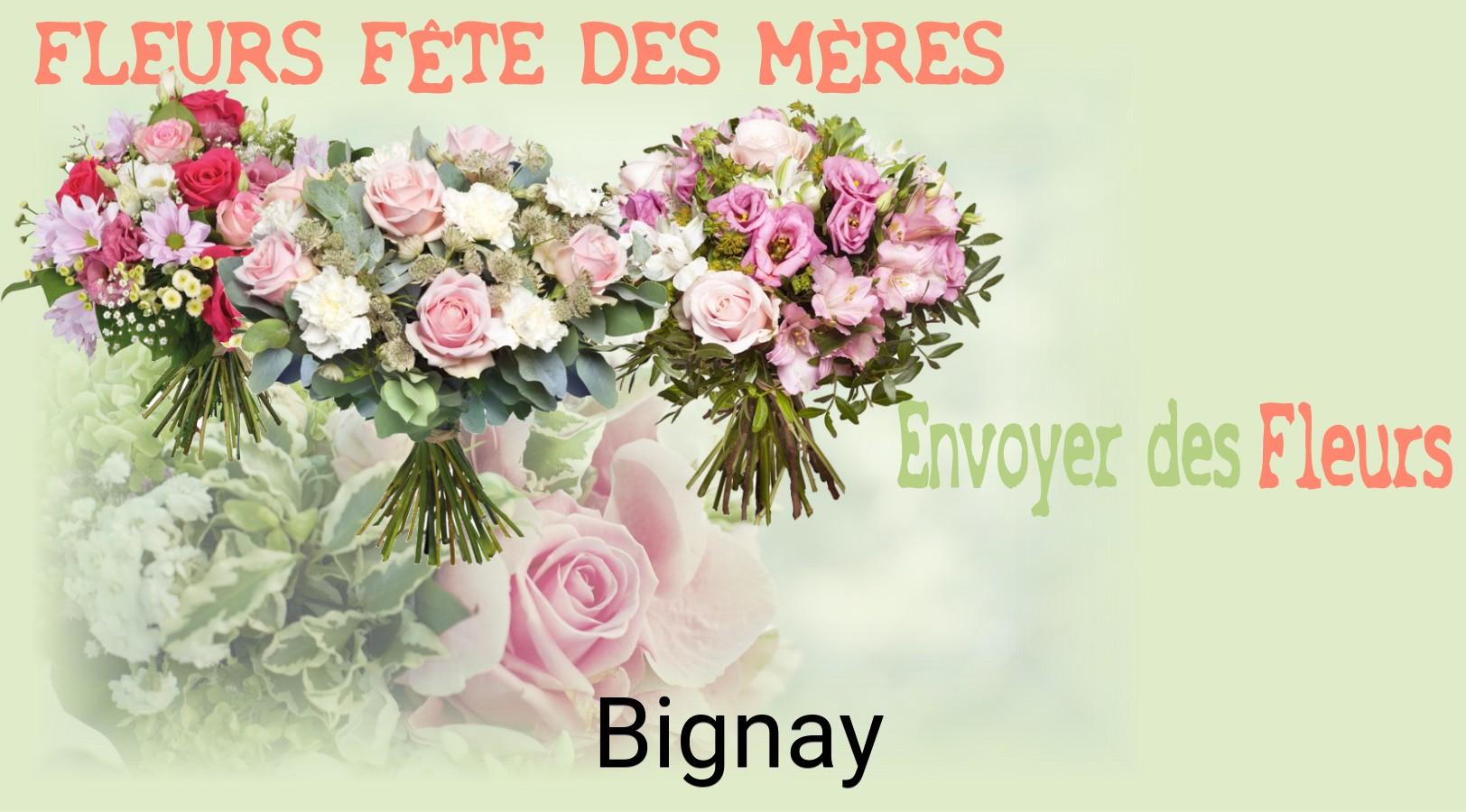 Bouquet de Fête des Mères livré à Bignay
